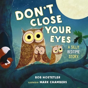 Hostetler, Bob. Don't Close Your Eyes - A Silly Bedtime Story. Tommy Nelson, 2019.