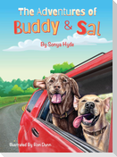 The Adventures of Buddy & Sal