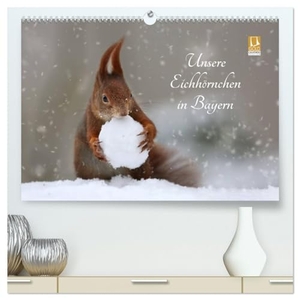 Cerny, Birgit. Unsere Eichhörnchen in Bayern (hochwertiger Premium Wandkalender 2025 DIN A2 quer), Kunstdruck in Hochglanz - Süße Bilder unserer Eichhörnchen im Regensburger Herzogspark.. Calvendo, 2024.