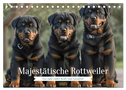 Majestätische Rottweiler: Ein Jahr voller Kraft und Loyalität (Tischkalender 2025 DIN A5 quer), CALVENDO Monatskalender