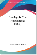 Sundays In The Adirondacks (1889)
