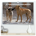 STRASSENVAGABUNDEN (hochwertiger Premium Wandkalender 2025 DIN A2 quer), Kunstdruck in Hochglanz