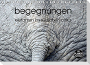 begegnungen - elefanten im südlichen afrika (Tischkalender immerwährend DIN A5 quer)