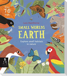 Small Worlds: Earth