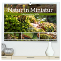 Natur in Miniatur - Mooswelten (hochwertiger Premium Wandkalender 2024 DIN A2 quer), Kunstdruck in Hochglanz