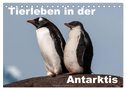 Tierleben in der Antarktis (Tischkalender 2025 DIN A5 quer), CALVENDO Monatskalender