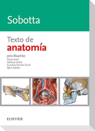 Sobotta : texto de anatomía