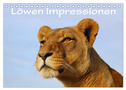 Löwen Impressionen (Tischkalender 2025 DIN A5 quer), CALVENDO Monatskalender