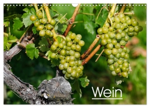 Jäger, Anette/Thomas. Wein (Wandkalender 2024 DIN A3 quer), CALVENDO Monatskalender - Farbige Fotografien rund um das Thema Wein.. Calvendo Verlag, 2023.