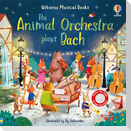 The Animal Orchestra Plays Bach