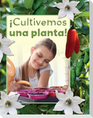 ¡Cultivemos Una Planta!
