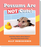 Possums Are Not Cute!