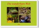 Die wunderbare Welt der Amphibien (Wandkalender 2024 DIN A2 quer), CALVENDO Monatskalender
