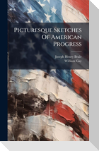 Picturesque Sketches Of American Progress