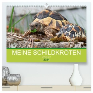 Sixt, Marion. Meine Schildkröten (hochwertiger Premium Wandkalender 2024 DIN A2 quer), Kunstdruck in Hochglanz - Bilder von meiner Schildkrötengruppe. Calvendo, 2023.