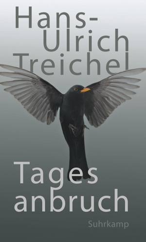 Treichel, Hans-Ulrich. Tagesanbruch. Suhrkamp Verlag AG, 2016.