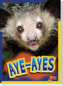 Aye-Ayes