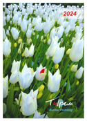 Tulpen. Bunter Frühling (Tischkalender 2024 DIN A5 hoch), CALVENDO Monatskalender