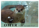 Otter. Frech, laut und clever (Wandkalender 2025 DIN A2 quer), CALVENDO Monatskalender
