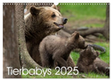 Tierbabys 2025 (Wandkalender 2025 DIN A3 quer), CALVENDO Monatskalender