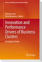 Innovation and Performance Drivers of Business Clusters