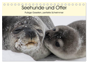 Seehunde und Otter. Putzige Gesellen, perfekte Schwimmer (Tischkalender 2024 DIN A5 quer), CALVENDO Monatskalender