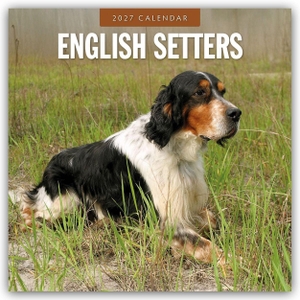 Red, Robin. English Setters - Englisch Setter 2027 - 16-Monatskalender - Original Red Robin Publishing Ltd-Kalender [Mehrsprachig] [Kalender]. Browntrout Verlags GmbH, 2026.