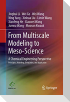 From Multiscale Modeling to Meso-Science
