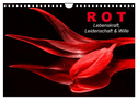 Rot ¿ Lebenskraft, Leidenschaft & Wille (Wandkalender 2024 DIN A4 quer), CALVENDO Monatskalender