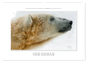 Emotionale Momente: Der Eisbär. / CH-Version (Wandkalender 2024 DIN A2 quer), CALVENDO Monatskalender