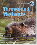 Threatened Wetlands