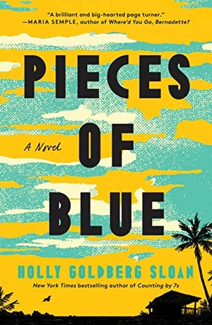 Sloan, Holly Goldberg. Pieces of Blue. Flatiron Books, 2024.