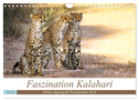 Faszination Kalahari (Wandkalender 2024 DIN A4 quer), CALVENDO Monatskalender