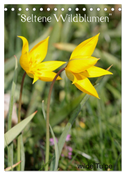 Seltene Wildblumen (Tischkalender 2024 DIN A5 hoch), CALVENDO Monatskalender
