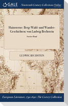 Hainsterne: Berg-Wald- Und Wander-Geschichten: Von Ludwig Bechstein; Sweiter Band