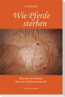 Wie Pferde sterben
