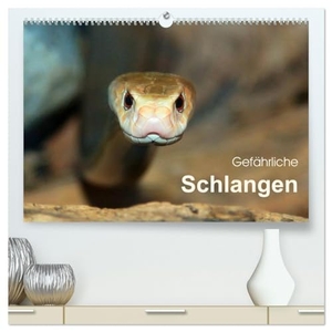 Herzog, Michael. Gefährliche Schlangen (hochwertiger Premium Wandkalender 2024 DIN A2 quer), Kunstdruck in Hochglanz - Gift- und Würgeschlangen der Welt im Portrait. Calvendo Verlag, 2023.