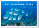 Faszinierendes Leben unter Wasser (Wandkalender 2025 DIN A3 quer), CALVENDO Monatskalender