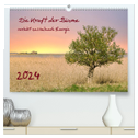 Die Kraft der Bäume (hochwertiger Premium Wandkalender 2024 DIN A2 quer), Kunstdruck in Hochglanz