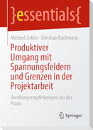 Produktiver Umgang mit Spannungsfeldern und Grenzen in der Projektarbeit