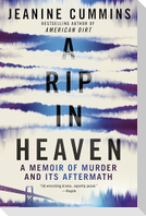 A Rip in Heaven