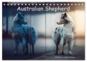 Australian Shepherd - Vielfalt in einer Rasse (Tischkalender 2026 DIN A5 quer), CALVENDO Monatskalender