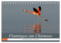 Flamingos am Chiemsee (Tischkalender 2025 DIN A5 quer), CALVENDO Monatskalender
