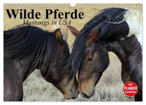 Stanzer, Elisabeth. Wilde Pferde. Mustangs in USA (Wandkalender 2024 DIN A3 quer), CALVENDO Monatskalender - Die Mustangs der USA in Wyoming und Utah. Calvendo, 2023.