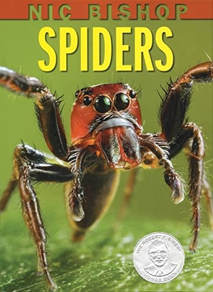 Bishop, Nic. Nic Bishop: Spiders. Scholastic Inc., 2007.