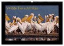 Wilde Tiere Afrikas (Wandkalender 2024 DIN A2 quer), CALVENDO Monatskalender