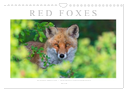 Red Foxes 2025 (Wall Calendar 2025 DIN A4 landscape), CALVENDO 12 Month Wall Calendar