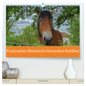 Faszination Rheinisch-Deutsches Kaltblut (hochwertiger Premium Wandkalender 2025 DIN A2 quer), Kunstdruck in Hochglanz
