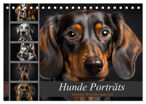 Meutzner, Dirk. Hunde Porträts (Tischkalender 2024 DIN A5 quer), CALVENDO Monatskalender - Zwölf Bilder von beliebten Hunderassen, die mit ihren Blicken die Herzen berühren. Calvendo, 2023.