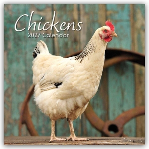 Gifted Stationery Co. Ltd. Chickens - Hühner 2027 - 16-Monatskalender - Original Gifted Stationery-Kalender [Mehrsprachig] [Kalender]. Browntrout Verlags GmbH, 2026.